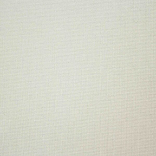 КАРИНА 4959 ① молочный